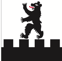 Lade das Bild in den Galerie-Viewer, Hissfahne Gemeinde Andeer bedruckt