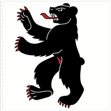 Load image into Gallery viewer, Hissfahne Kanton Appenzell IR genäht