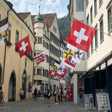 Lade das Bild in den Galerie-Viewer, Hissfahne Gemeinde Luzein bedruckt