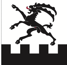 Lade das Bild in den Galerie-Viewer, Hissfahne Gemeinde Bregaglia bedruckt