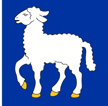 Lade das Bild in den Galerie-Viewer, Hissfahne Gemeinde Conters bedruckt