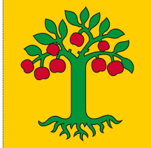 Lade das Bild in den Galerie-Viewer, Hissfahne Gemeinde Domleschg bedruckt