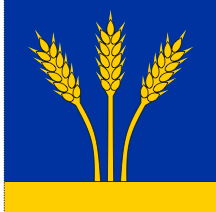 Lade das Bild in den Galerie-Viewer, Hissfahne Gemeinde Fläsch bedruckt