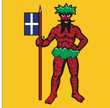 Lade das Bild in den Galerie-Viewer, Hissfahne Gemeinde Klosters bedruckt