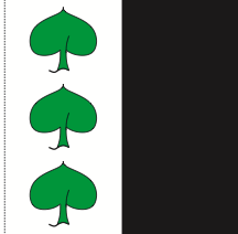 Load image into Gallery viewer, Hissfahne Gemeinde Scharans bedruckt