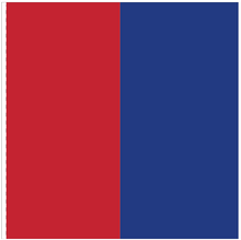 Lade das Bild in den Galerie-Viewer, Hissfahne Kanton Tessin / Ticino genäht