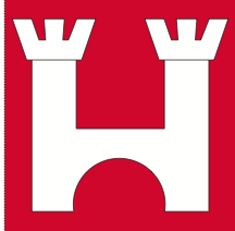 Load image into Gallery viewer, Hissfahne Gemeinde Tujetsch bedruckt