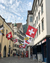 Load image into Gallery viewer, Hissfahne  Schweiz / Suisse / Svizzera / Switzerland genäht
